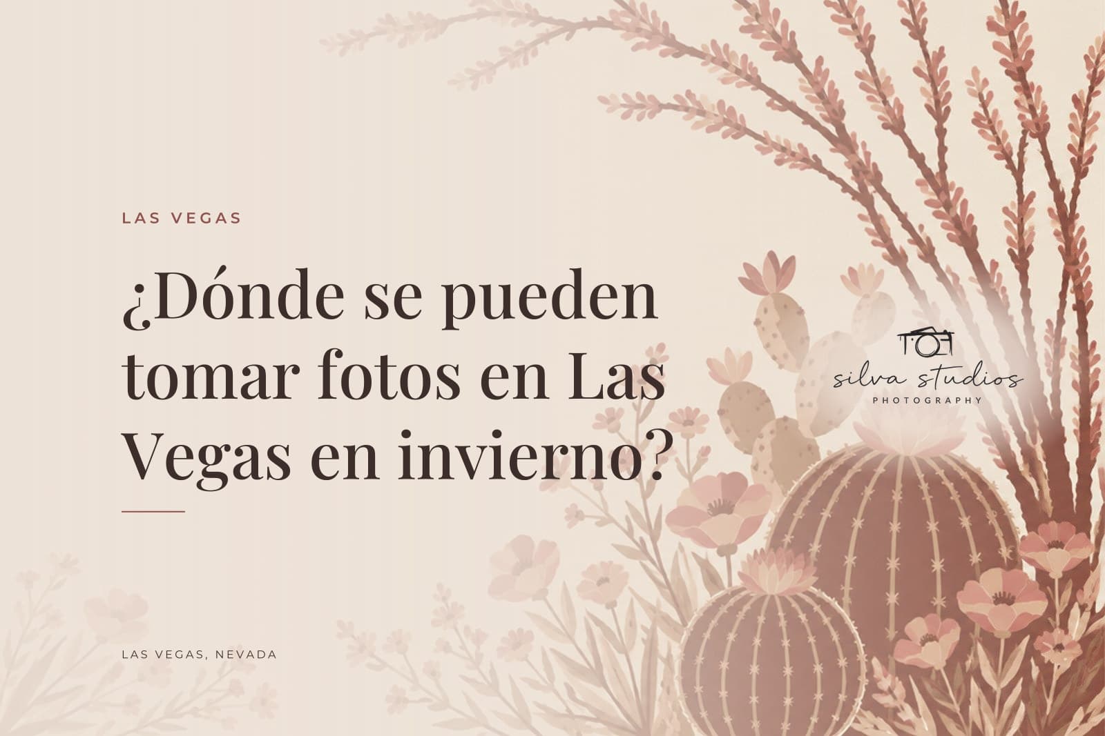 Portada del diario de Silva Studios Photography que dice "¿Dónde se pueden tomar fotos en Las Vegas en invierno?"