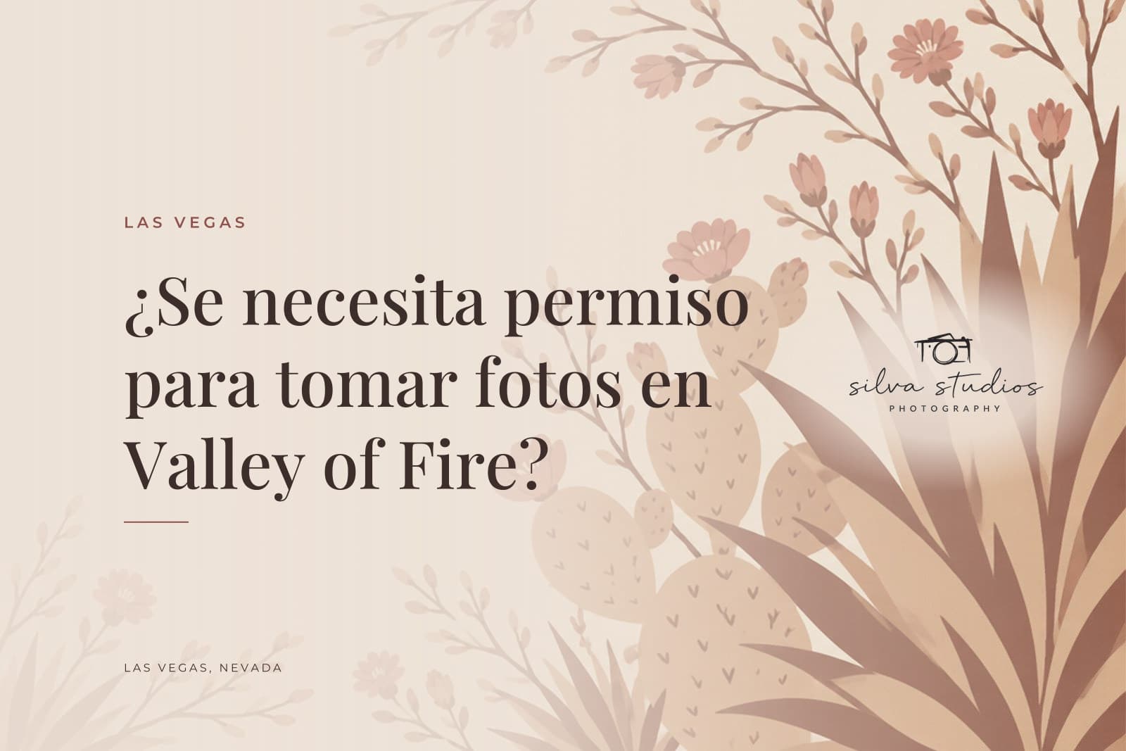 Portada del diario de Silva Studios Photography que dice "¿Se necesita permiso para tomar fotos en Valley of Fire?"