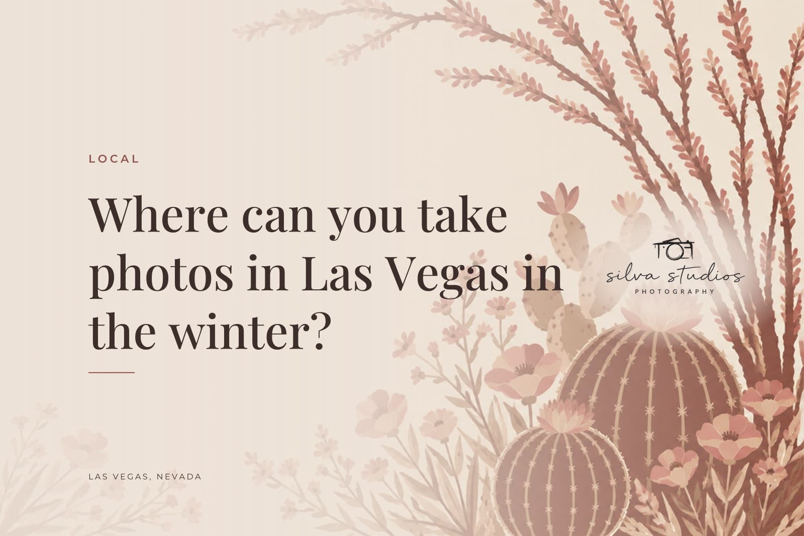 Silva Studios Photography journal cover reading "Where can you take photos in Las Vegas in the winter?"