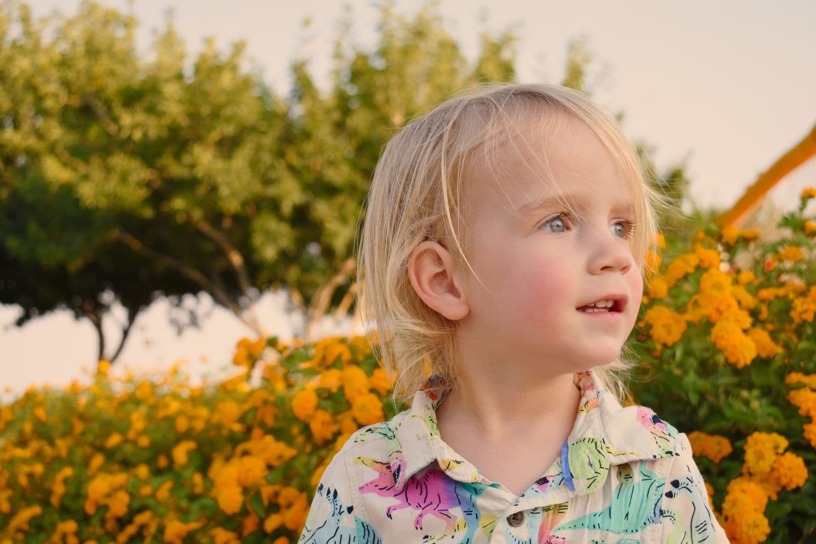 A young boy in a floral shirt looking off into the distance at a park in Las Vegas, NV