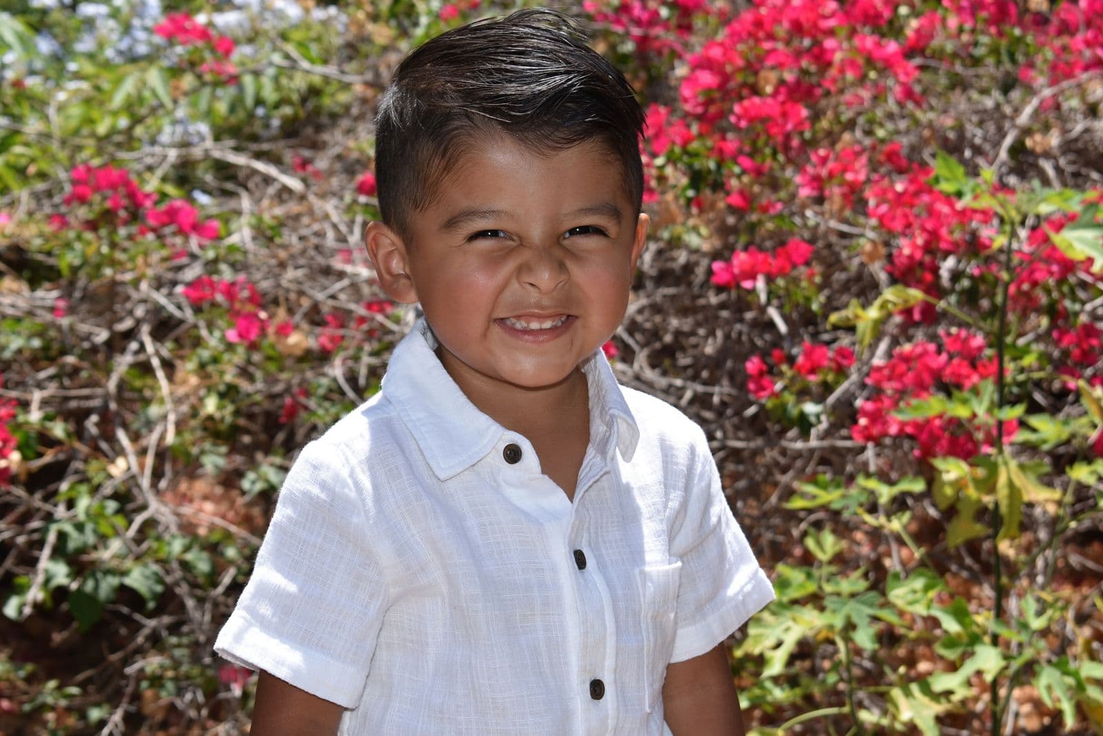 A close portrait of a young boy in a white shirt against blooming bougainvillea, Las Vegas, NV