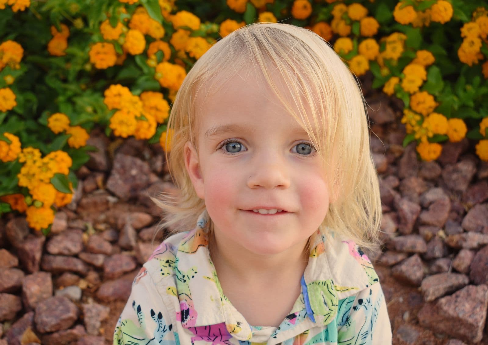 A close portrait of a young boy against a wall of orange marigolds in Las Vegas, NV