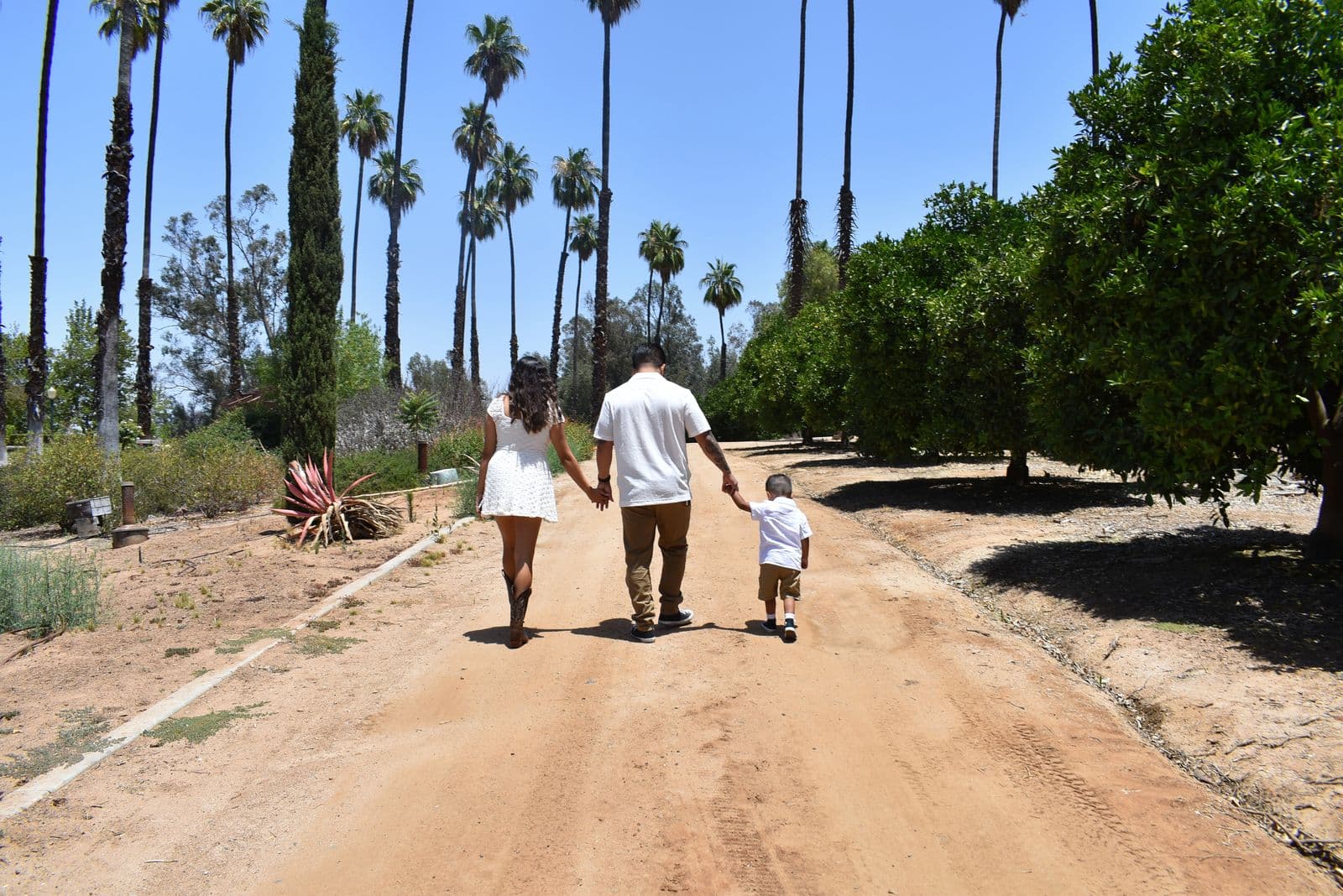 A family walking a dirt road lined with tall palms during a session in Las Vegas, NV