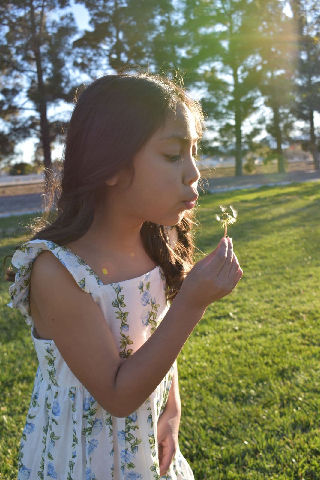 A young girl blowing a dandelion in a park at golden hour, Las Vegas, NV family session
