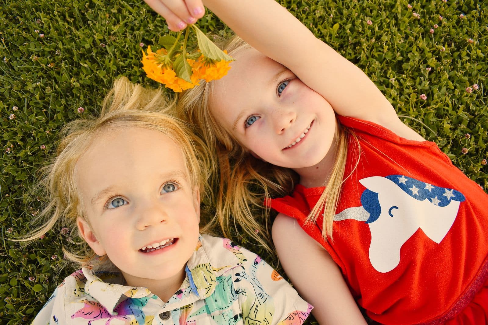 A girl holding an orange flower over her little brother as they lie in the grass, Las Vegas, NV