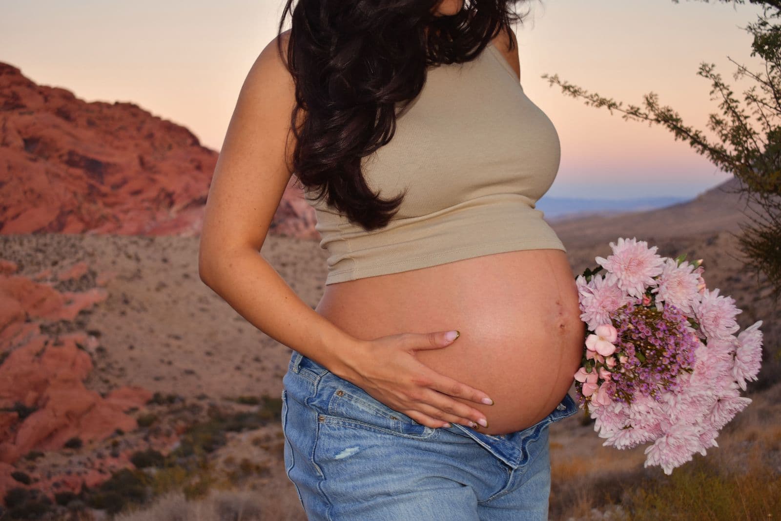 An expecting mother in profile cradling her bare bump against the red rock formations of Red Rock Canyon at golden hour