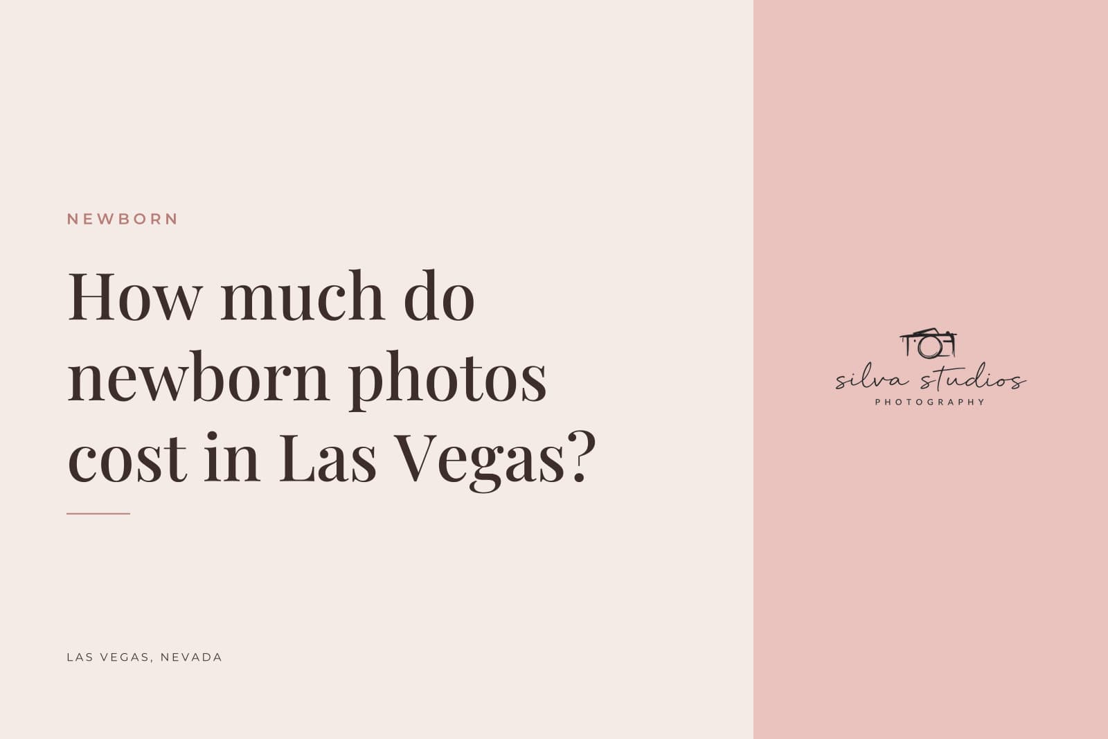Silva Studios Photography journal cover reading "How much do newborn photos cost in Las Vegas?"
