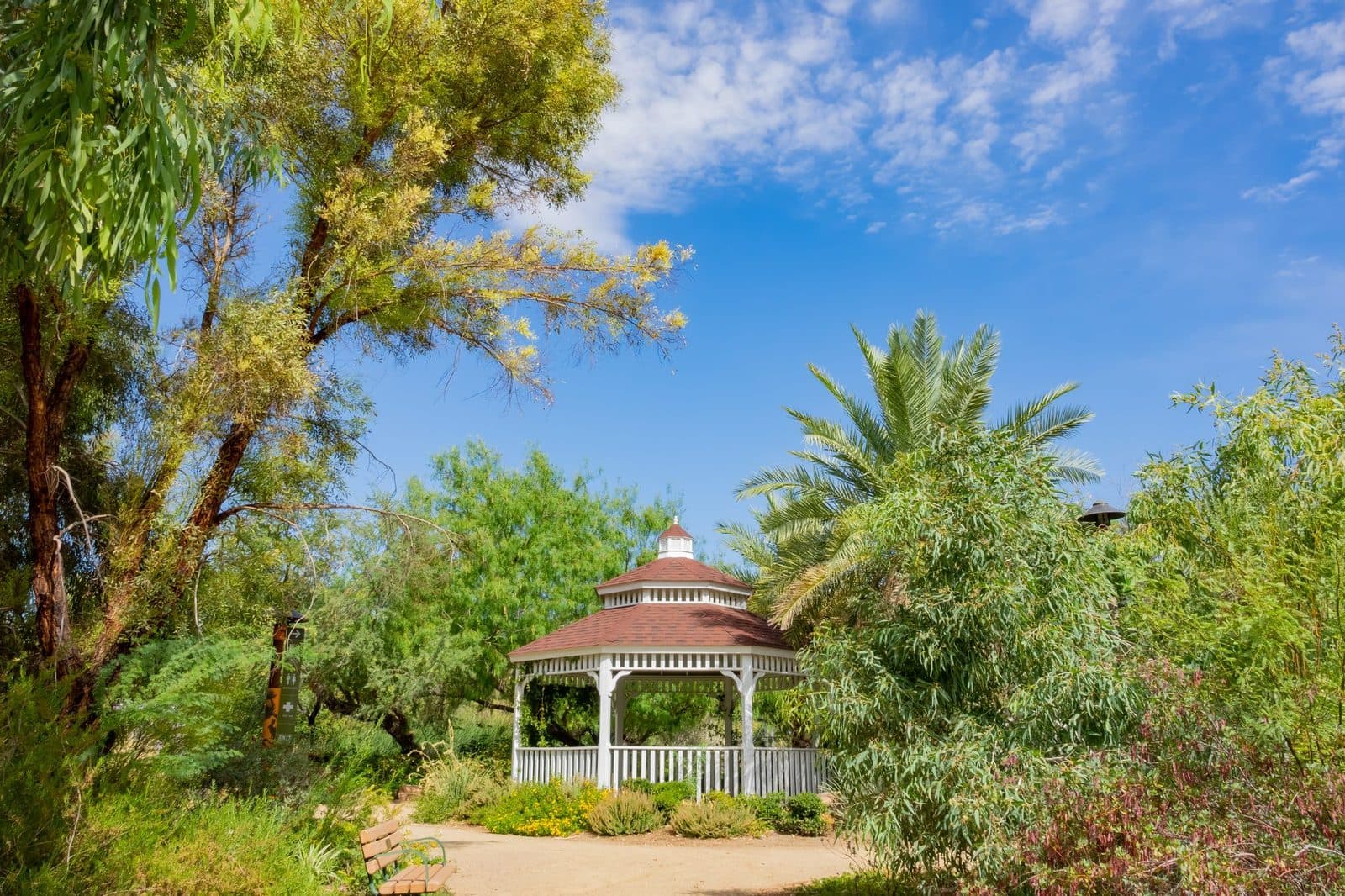 A white gazebo surrounded by palms and cottonwoods in the gardens at Springs Preserve in Las Vegas, NV